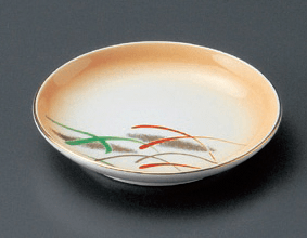 加茂川新丸３．０皿