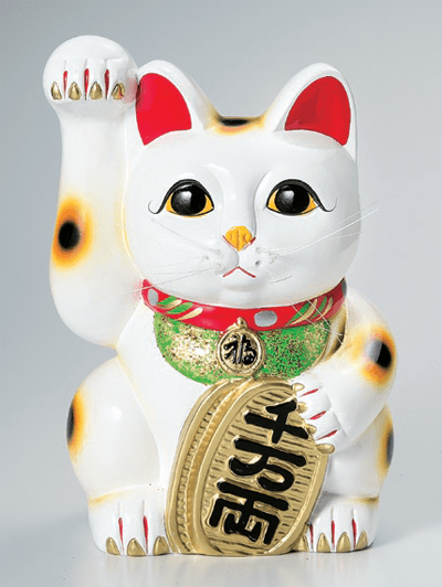 白手長小判猫13号(右手) 白手長小判猫13号(右手)