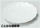 ことはな福寿草銘々皿 白