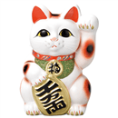 白手長小判猫13号左手